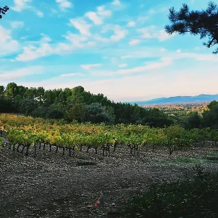 L'Appartement De L'Arche Châteauneuf-de-Gadagne Buitenkant foto