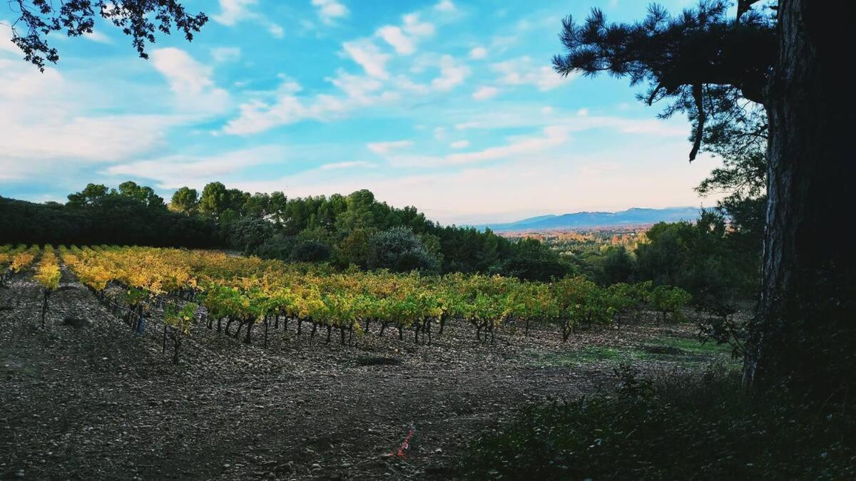 De L'arche * Châteauneuf-de-Gadagne