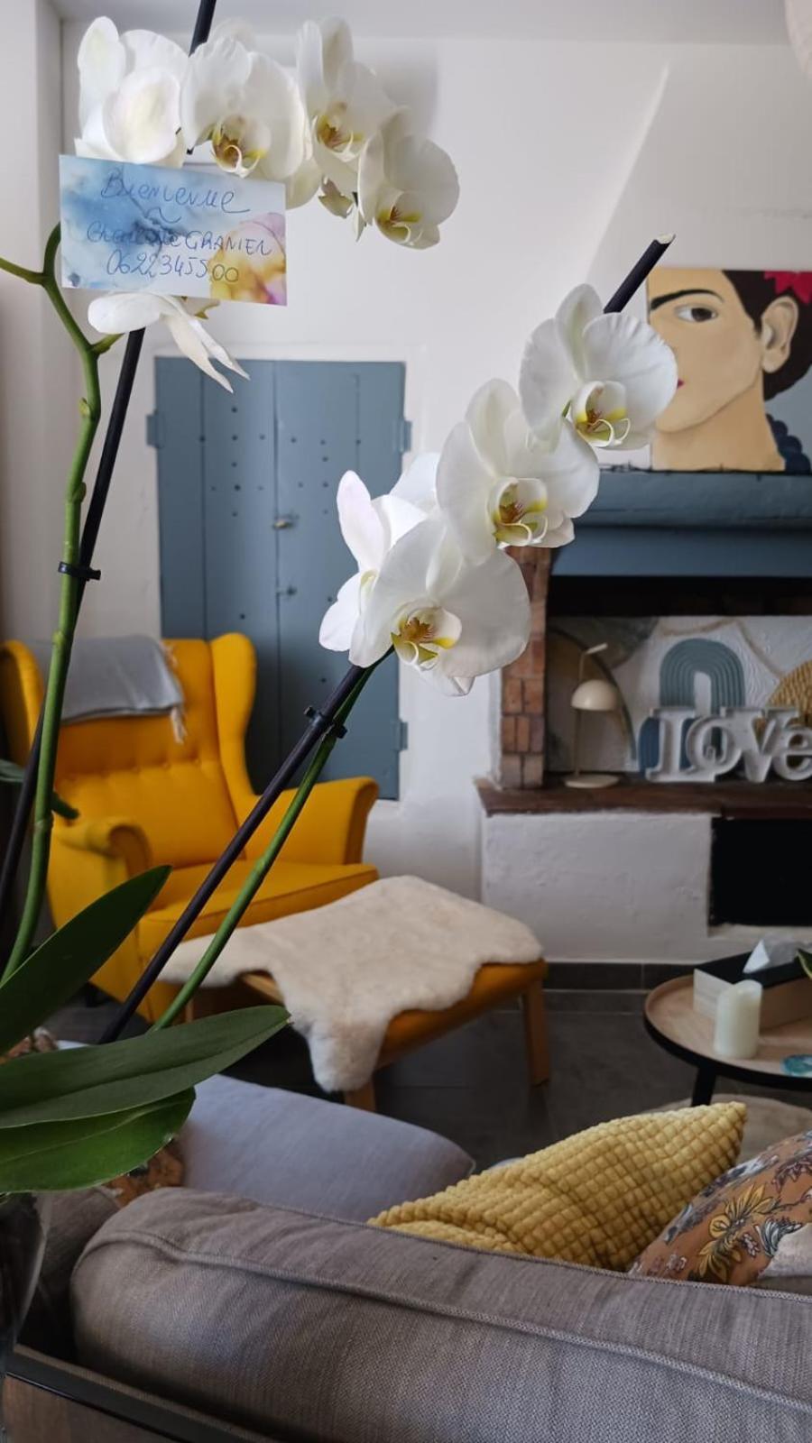De L'arche Appartement Châteauneuf-de-Gadagne